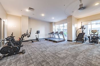 A spacious gym with treadmills, elliptical machines, and stationary bikes